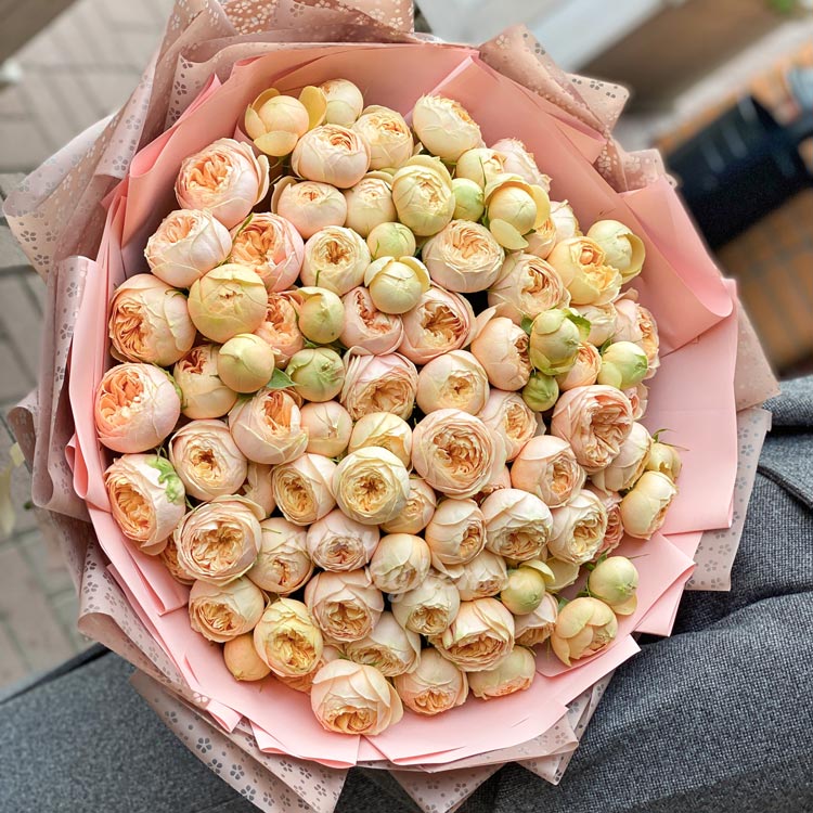 25 пионовидных роз (в руках)