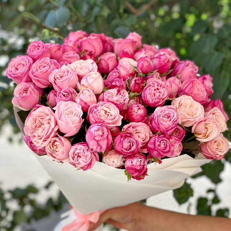 15 пионовидных кустовых роз (крупный план)