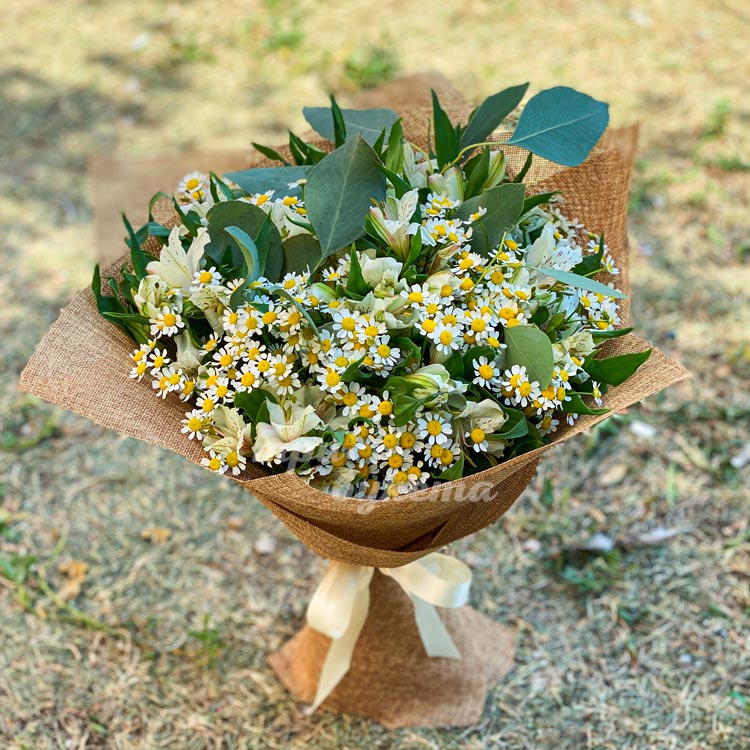 Букет из ромашек и альстромерий