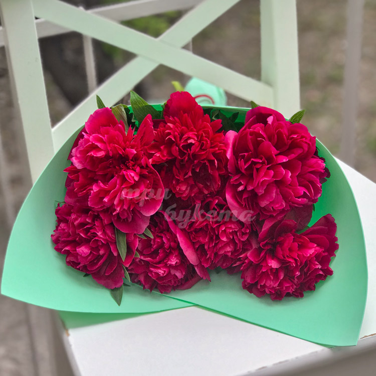 Букет из 7 пионов Рут Клэй